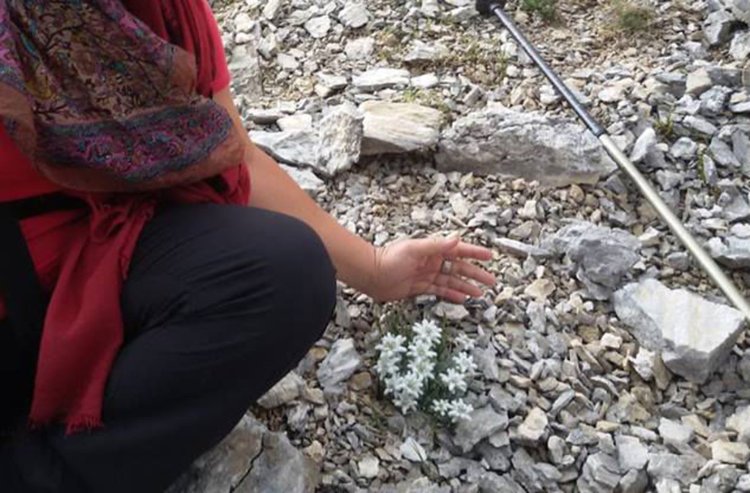 Дядо и внуче яхнаха Ко̀нчето