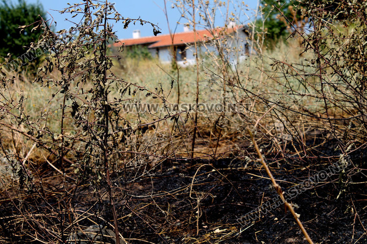 МВР: Тракторист подпалил гората край Лисово