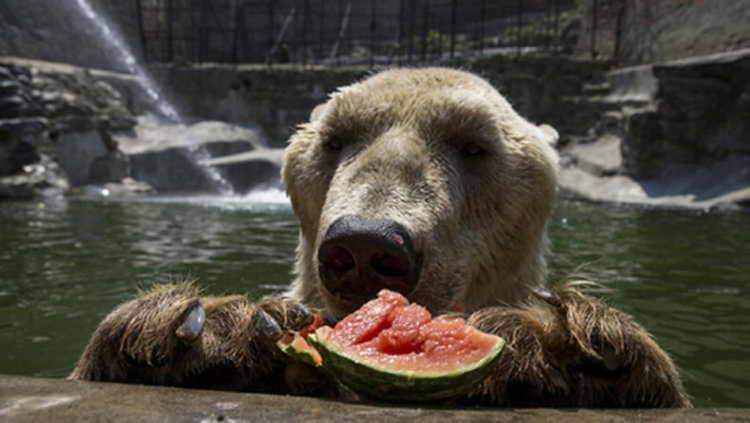 Жега и днес, живакът стига 34 градуса на сянка