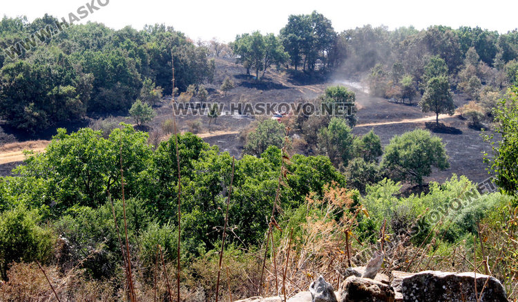 МВР: Тракторист подпалил гората край Лисово