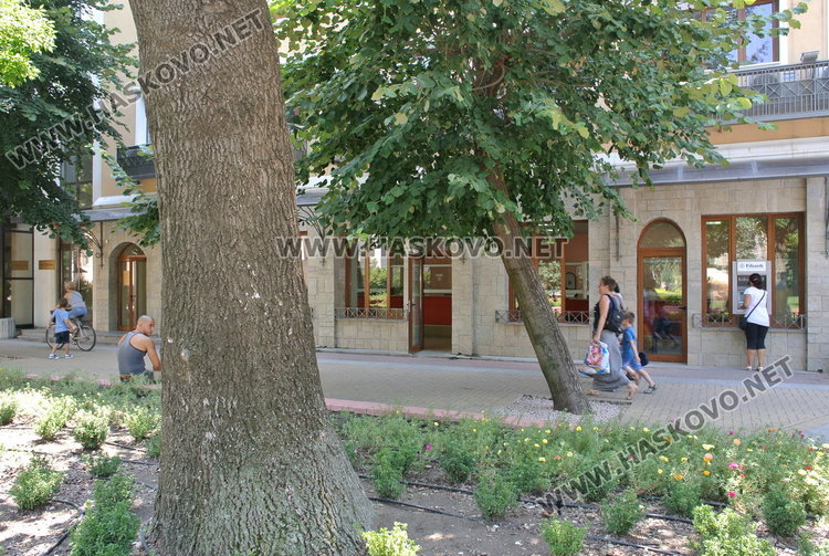 Общинските услуги на &bdquo;едно гише&ldquo;, ремонтират касовия салон