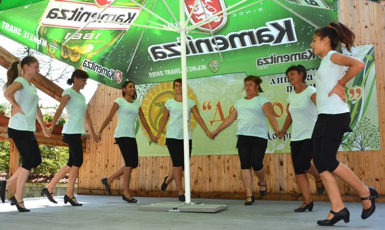 50 поети от цялата страна рецитираха стихове в село Добрич