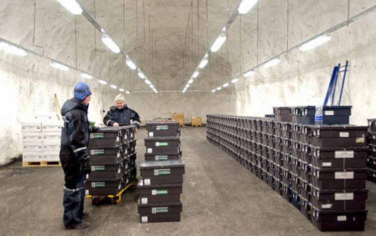 Глобалното хранилище в Норвегия за първи път извади от складирания там сирийски генетичен материал 