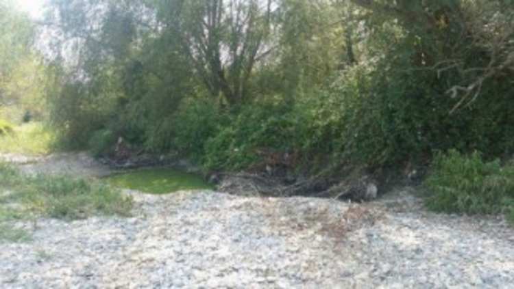 Над 70 хиляди лева от санкции са постъпили в РИОСВ – Пловдив през юли