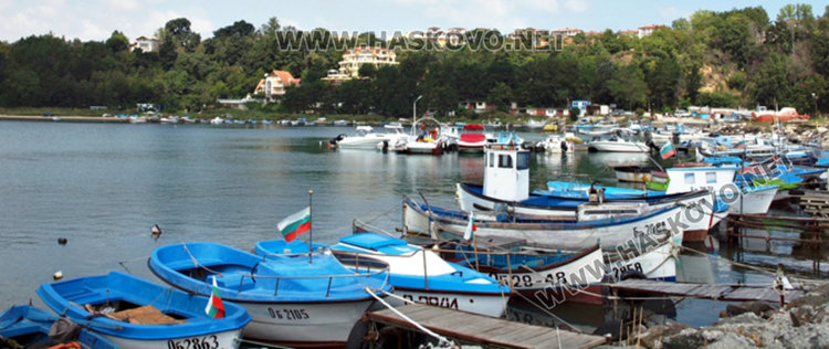 Морските дарове по Черноморието от кое море са?
