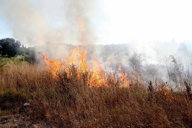 В 14 области е обявена най-високата степен на риск от пожари 