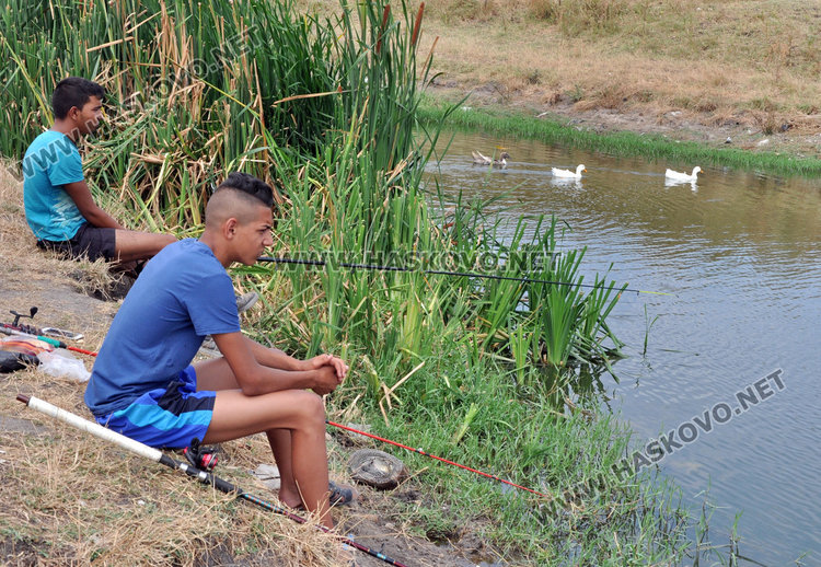 Рибарски идилии насред лебедово езеро в „Република“