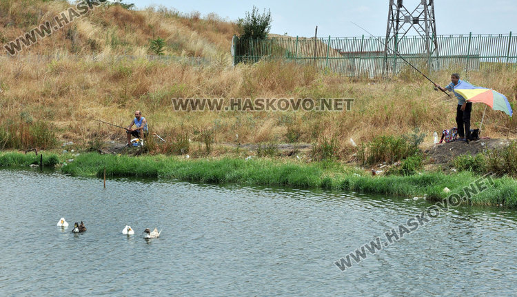 Рибарски идилии насред лебедово езеро в „Република“