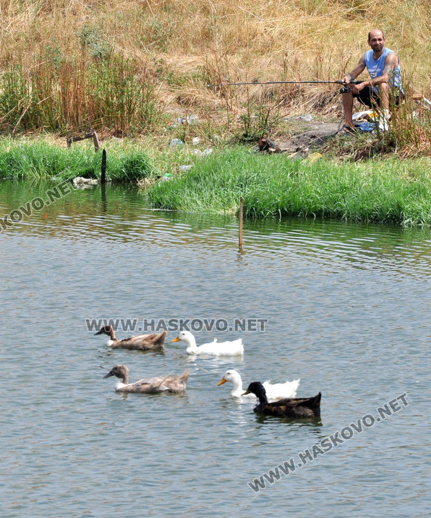 Рибарски идилии насред лебедово езеро в „Република“