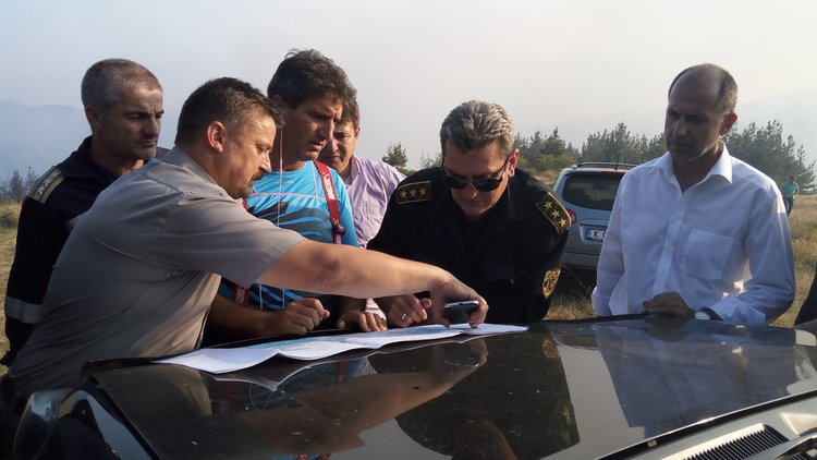 Горското в Ардино: Благодарим на всички, спасихте гората и хората от пожара