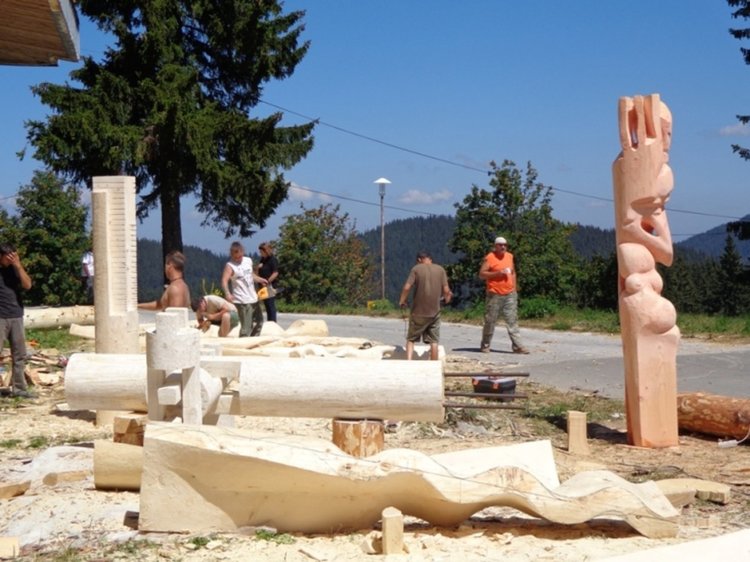 Студенти от Националната художествена академия ваят скулптури от дърво за парка на Пампорово