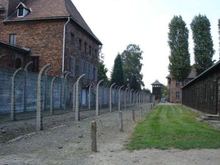 Осем нацистки престъпници били издирени в Германия