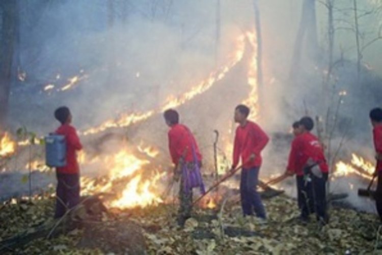Стотици евакуирани заради горски пожари в Марсилия
