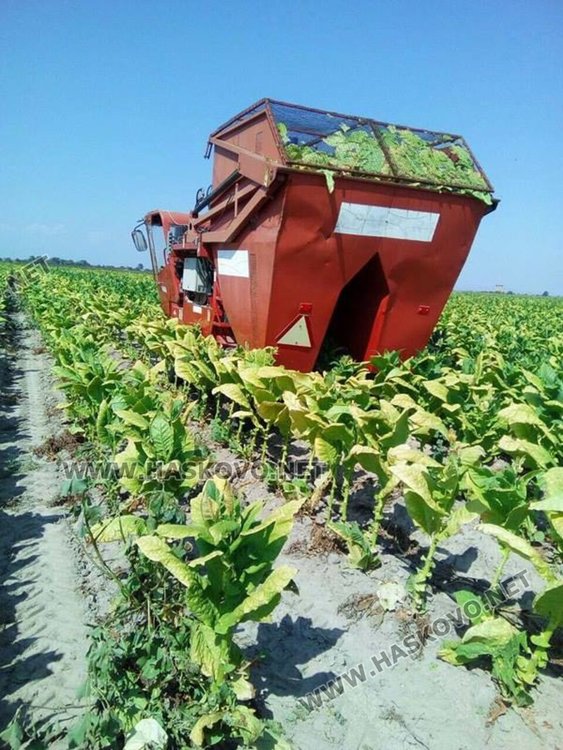 Комбайн сменя дневно 100 берачки на тютюн