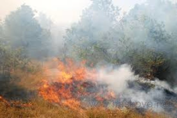 Тракторист предизвикал пожар край Йерусалимово