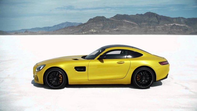 Звярът с две врати                                   