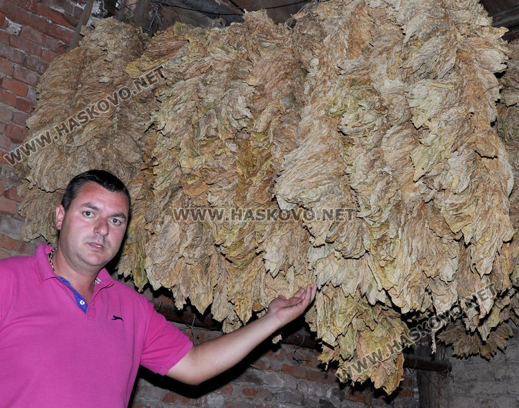 Румен Минчев