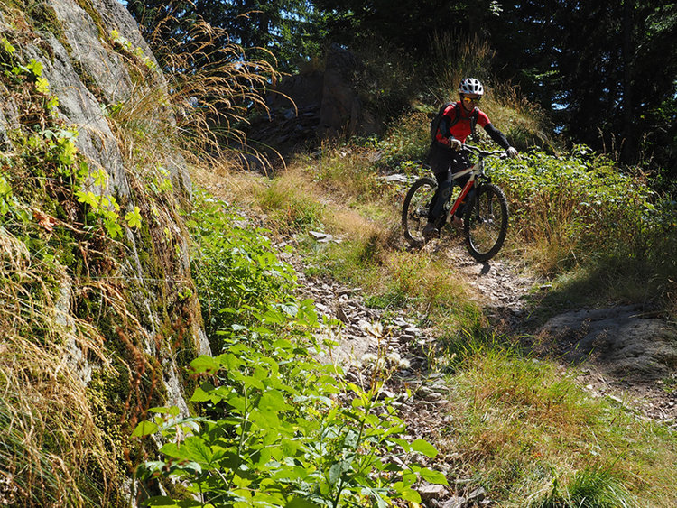 Пампорово кани дамите на вело лагер в курорта този уикенд