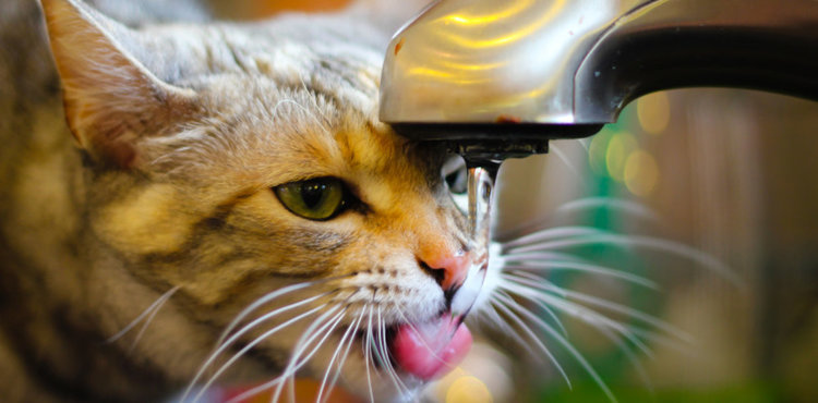 Жега в четвъртък, червен индекс за пожароопасност