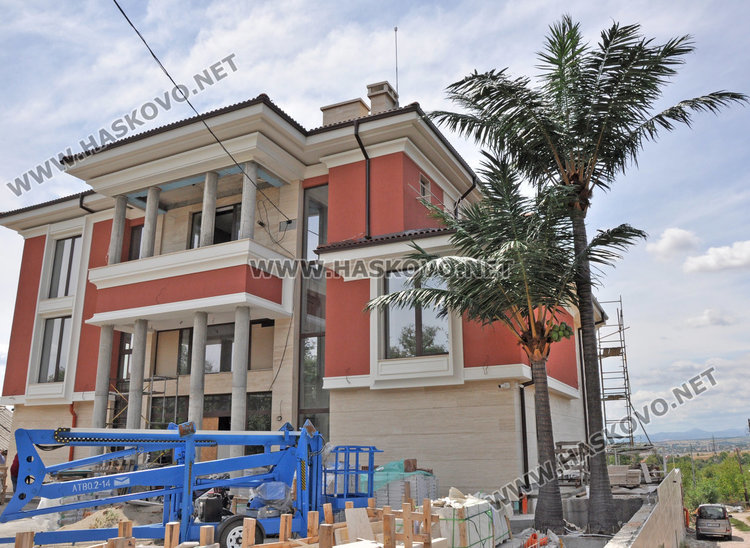 Огромни кокосови палми "поникнаха" в Кенана