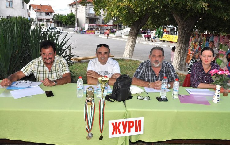 Журито, което оценява изпълненията