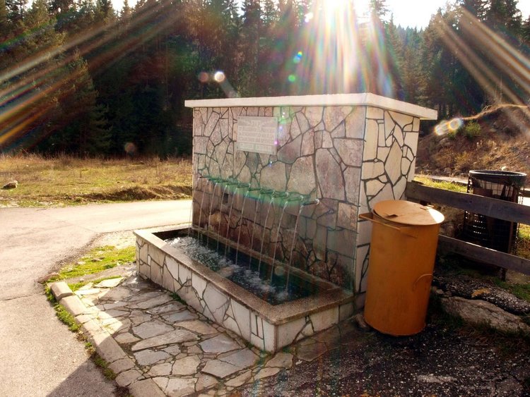 Три дни Доспат празнува с фестивал на народното творчество и Събор на чешмарите