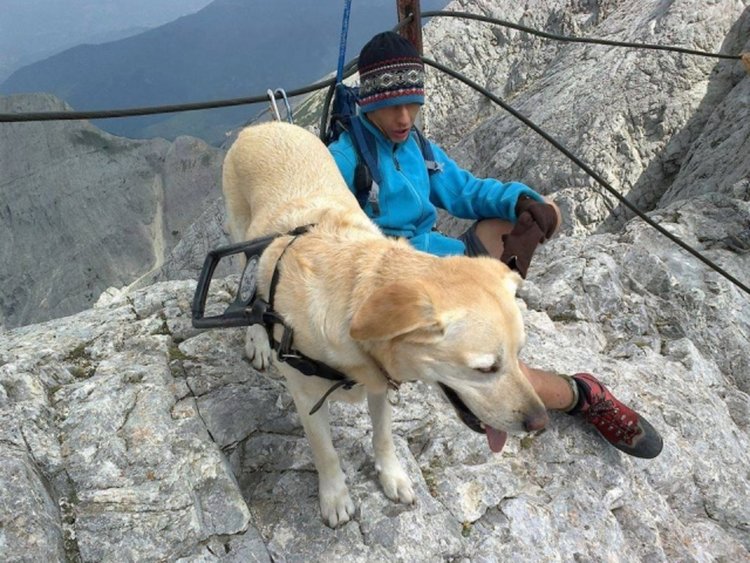 Незрящи покориха Вихрен и минаха през Кончето