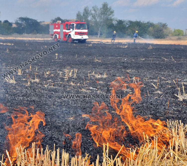 Нов пожар до шоурума на екскмета, 1000 дка горят край Симеоновград