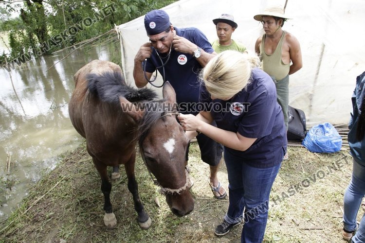 Българска ветеринарна лекарка помага в засегнати от наводненията райони в Мианмар