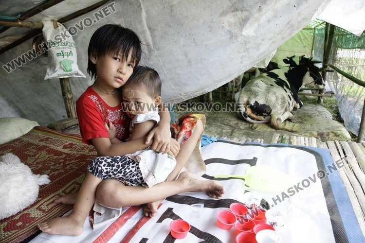 Българска ветеринарна лекарка помага в засегнати от наводненията райони в Мианмар