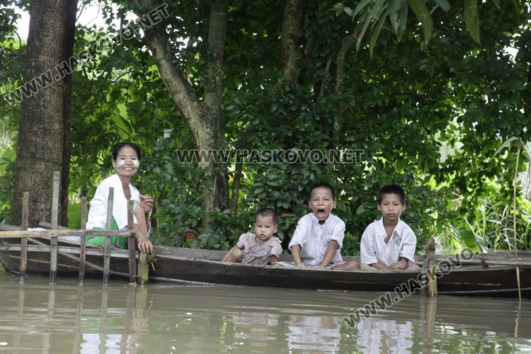 снимки: Четири лапи