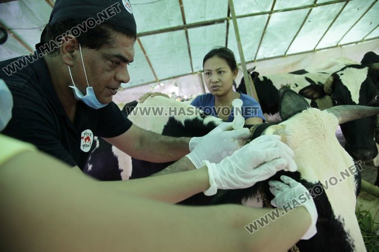 Българска ветеринарна лекарка помага в засегнати от наводненията райони в Мианмар