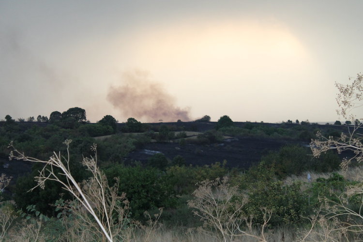 Огромен пожар в харманлийско, обявиха бедствено положение	