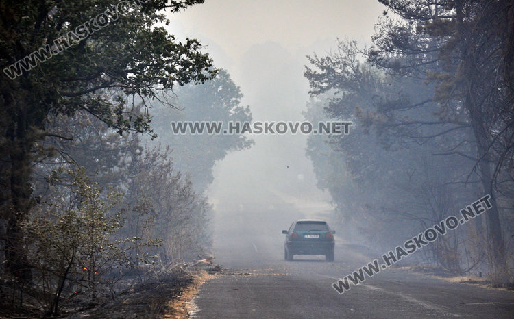 Пак палят край Харманли, семейство спасено от огнения ад 