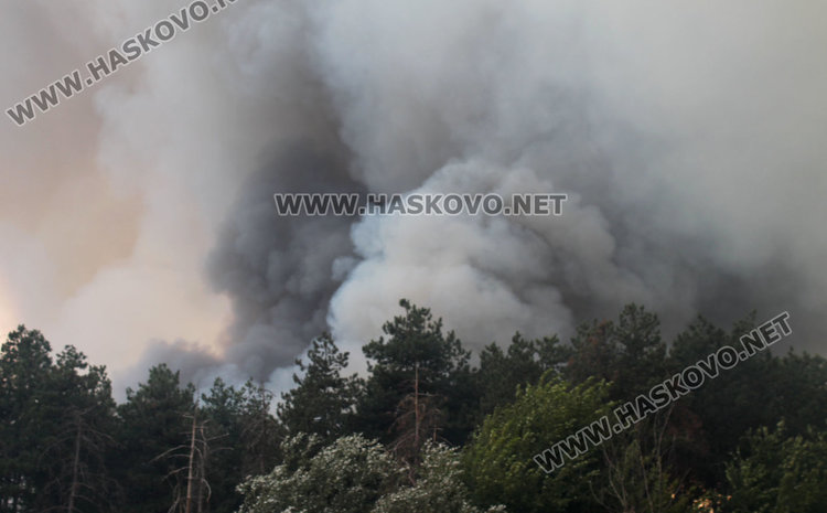 Пак палят край Харманли, семейство спасено от огнения ад 