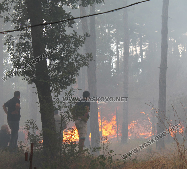 Пак палят край Харманли, семейство спасено от огнения ад 
