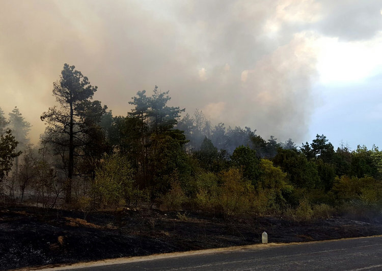 Нов пожар избухна минути след отмяната на бедственото положение в Харманлийско