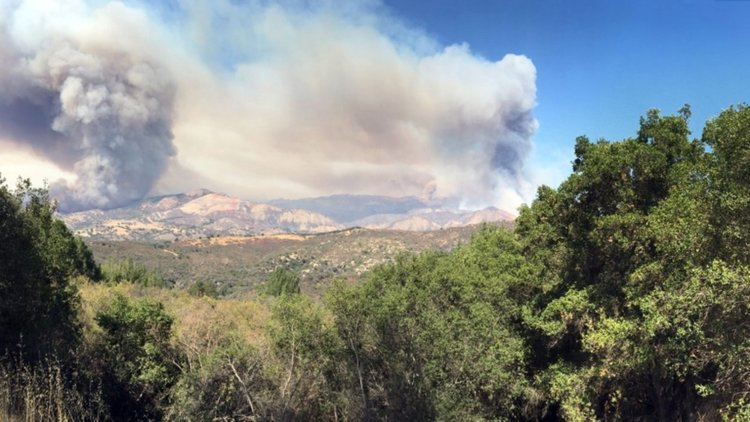 Евакуираните заради пожара в Калифорния се връщат по домовете си