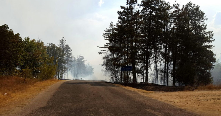 Нов пожар избухна минути след отмяната на бедственото положение в Харманлийско