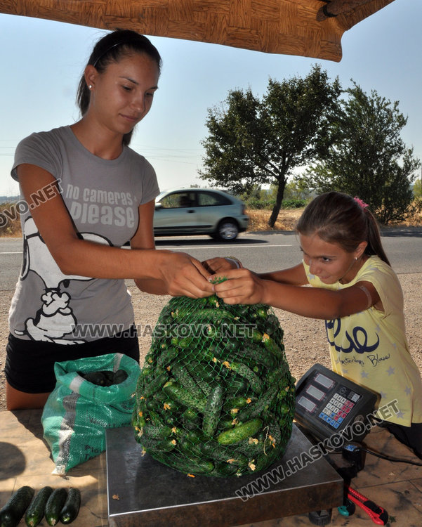 Нели и Ели помагат за продажбата на корнишони