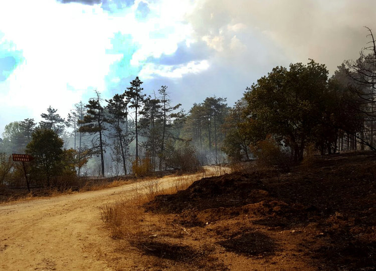 Нов пожар избухна минути след отмяната на бедственото положение в Харманлийско