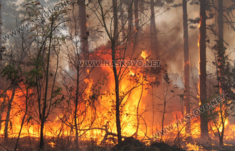 Пак палят край Харманли, семейство спасено от огнения ад 