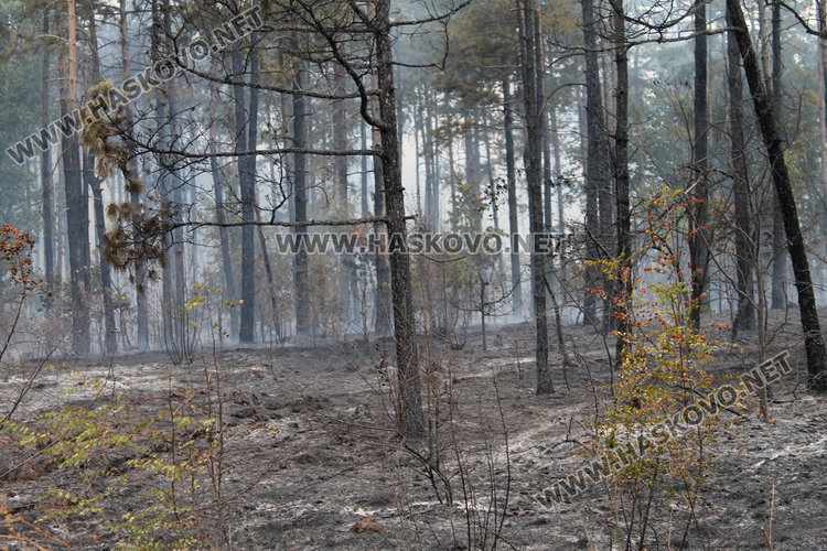 Пожарът край Остър камък потушен (Обновена)