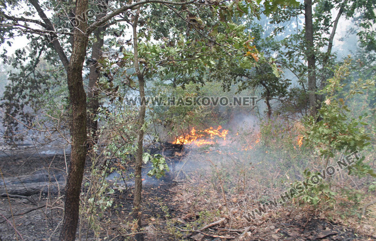 Пожарът край Остър камък потушен (Обновена)