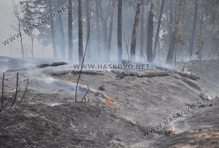 Гората край Остър камък запалена от три места, огънят продължава да бушува