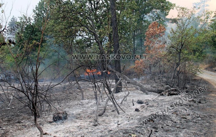 Пожарът край Остър камък потушен (Обновена)