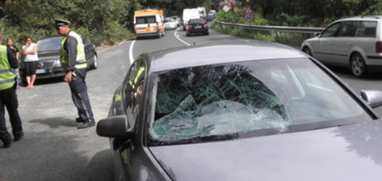 Румънката, блъснала с кола Боян Петров, още е без обвинение