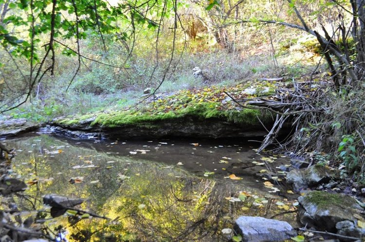 Възрастна жена се удави във вир край свиленградско село