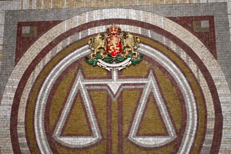 Пуснаха под гаранция румънката, блъснала Боян Петров