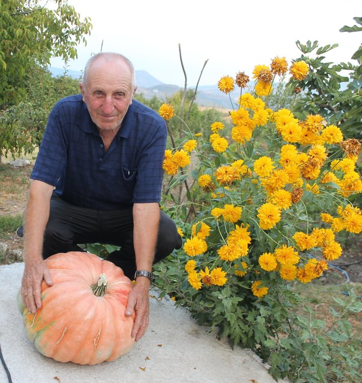 Бай Мехмед от Македонци: Пчеларството е най-голямата страст в живота ми